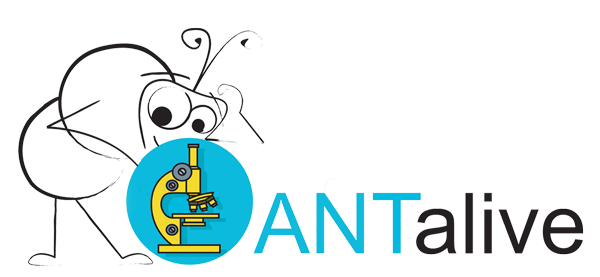 ANTalive Logo